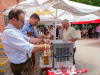Pfarrfest 2024 von Gersthof-St.Leopold