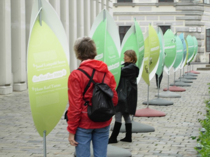 Gersthofer-innen pflanzen Glaubensbäume