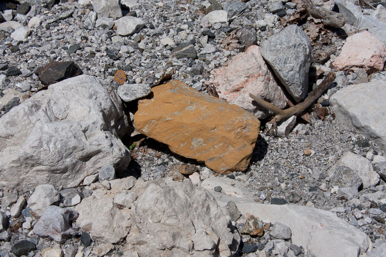 (c)2009 Michael Steidl