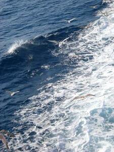 Meer-unio