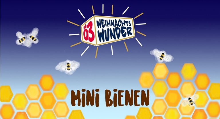 Ö3-Bienenwunder #25